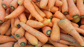 Pile of Carrots